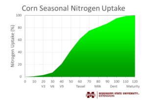 corn nitrogen use chart