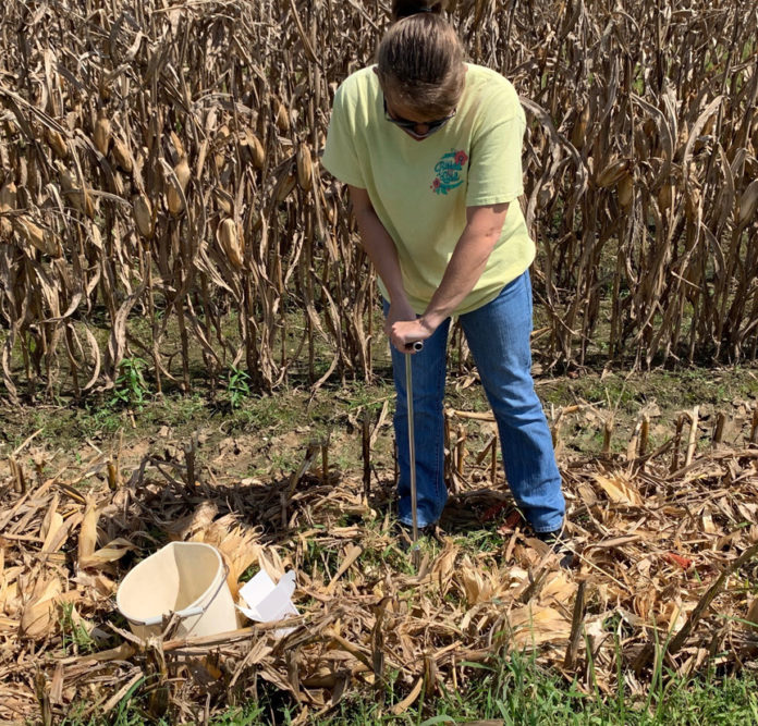 soil sampling in the fall