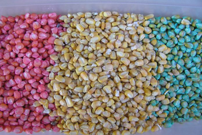corn seed treatment