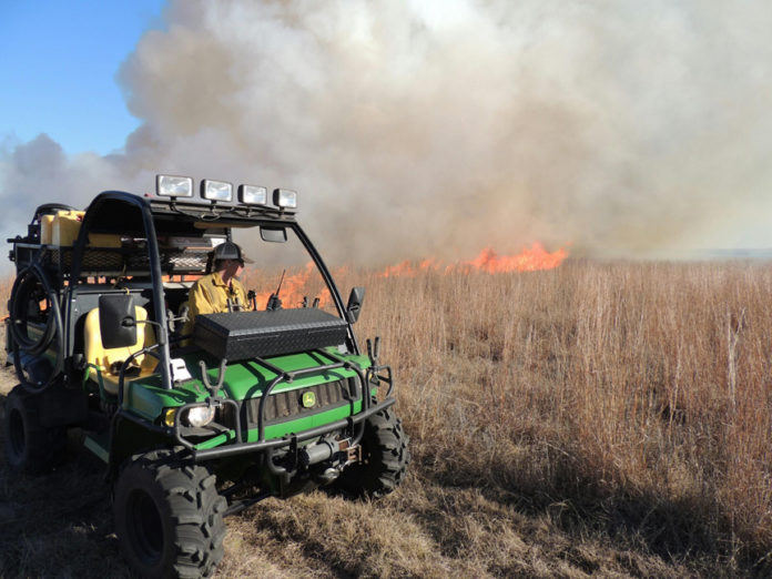 controlled burn in pasture